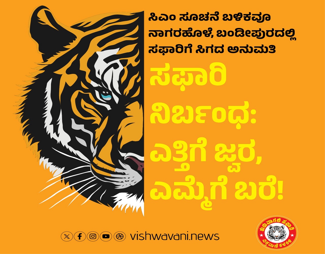 Safari restrictions: ಸಫಾರಿ ನಿರ್ಬಂಧ: ಎತ್ತಿಗೆ ಜ್ವರ, ಎಮ್ಮೆಗೆ ಬರೆ !
