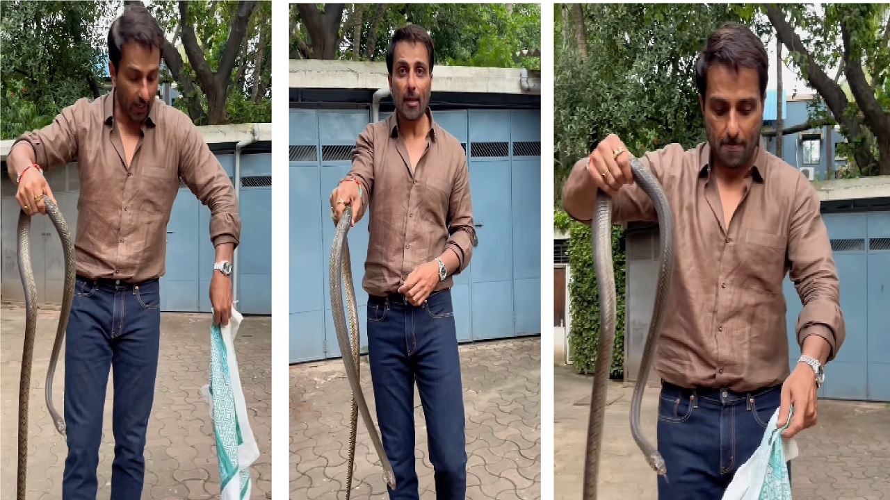 ಹಾವು ಹಿಡಿದ ಸೋನು ಸೂದ್... ಇದು ಸಿನಿಮಾ ದೃಶ್ಯವಲ್ಲ!