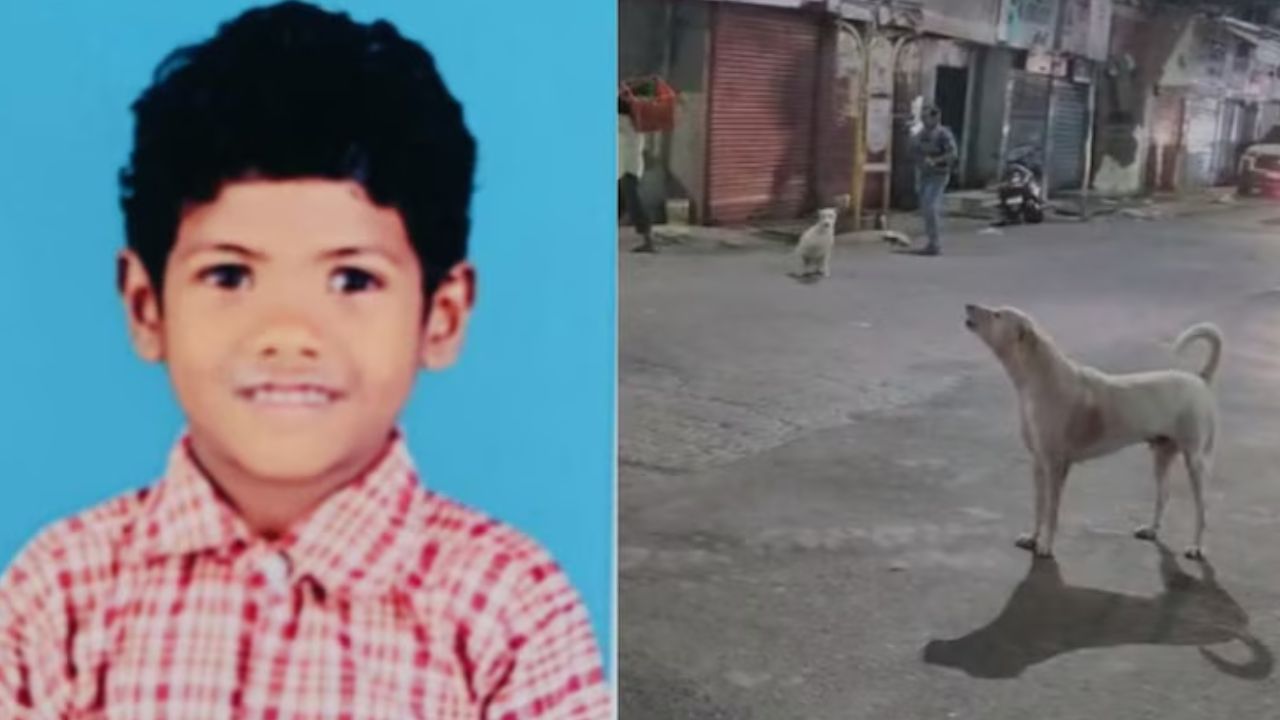 ಬೀದಿ ನಾಯಿ ದಾಳಿ: ಬಾಲಕ ಸಾವು