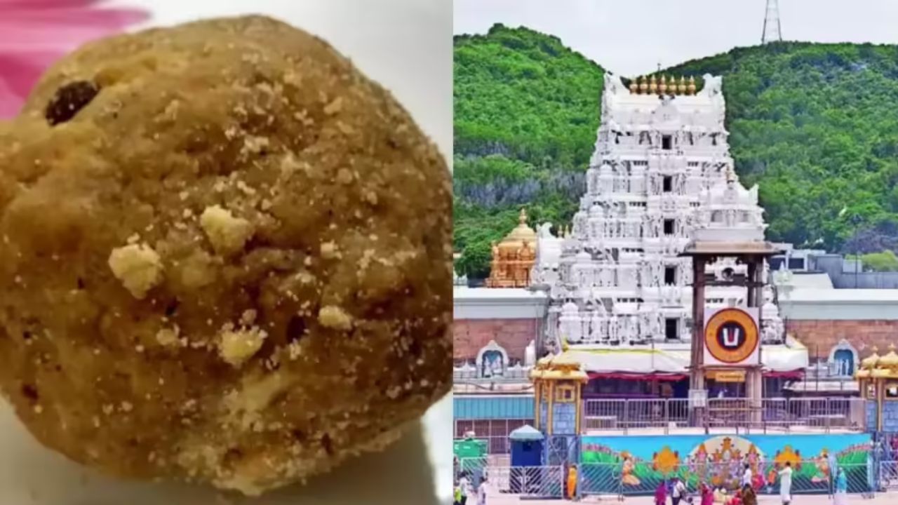 ಕಳಪೆ ತುಪ್ಪ ಬಳಸಿ 68 ಲಕ್ಷ ಕೆಜಿ ತಿರುಪತಿ ಲಡ್ಡು ತಯಾರಿ