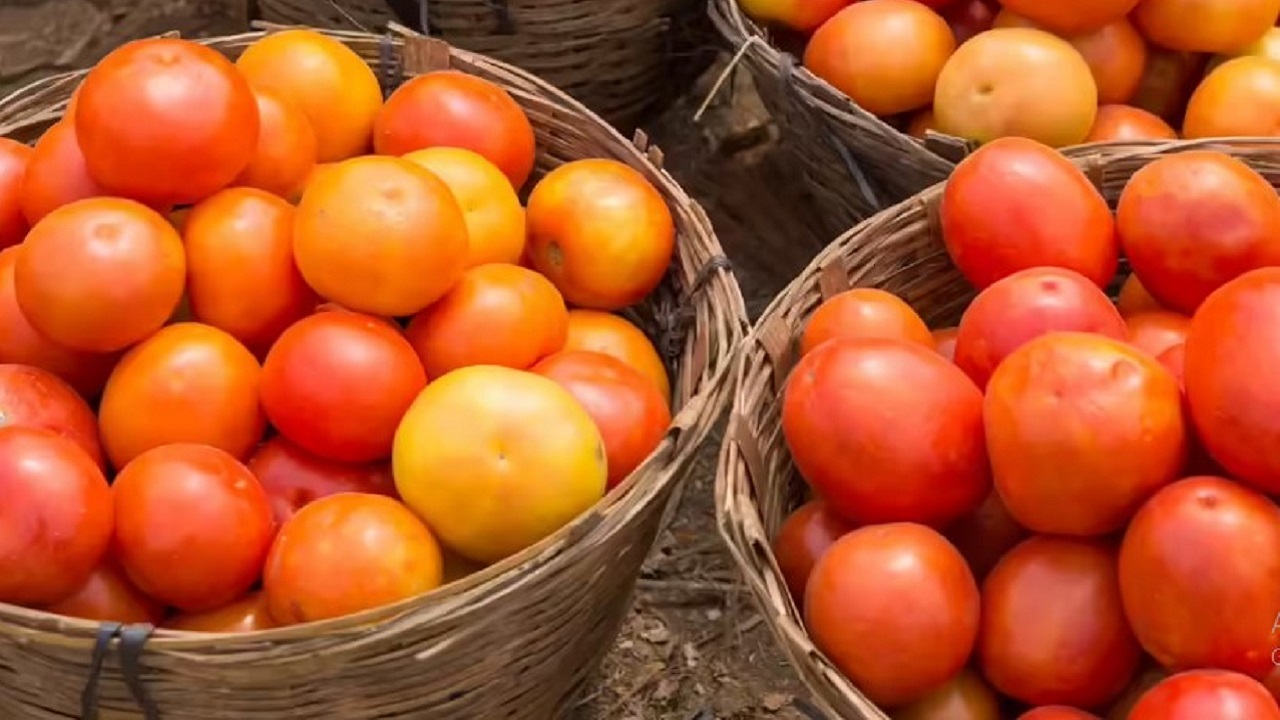 ಗಗನಕ್ಕೇರಿದ ಟೊಮೆಟೋ ಬೆಲೆ
