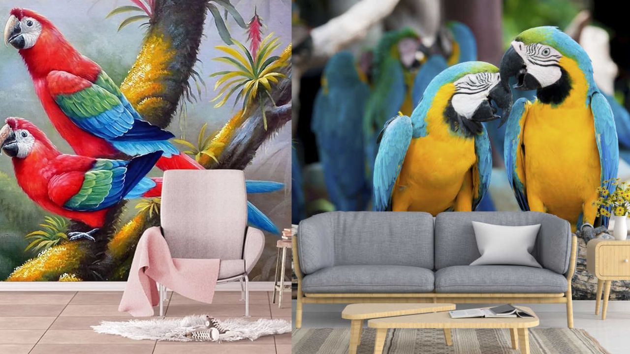 ಪ್ರೀತಿಯನ್ನು ಹೆಚ್ಚಿಸುವ ಫೋಟೊ