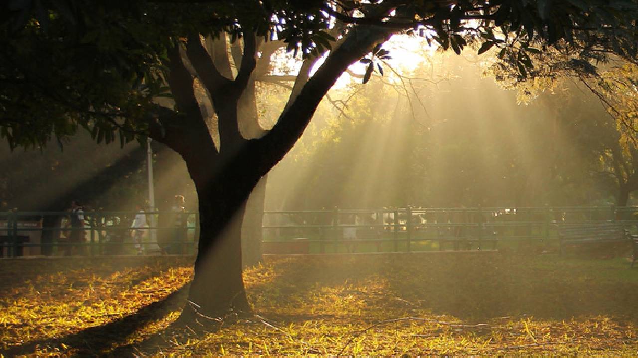 ರಾಜ್ಯದಲ್ಲಿ ಒಣಹವೆ, ರಾಜಧಾನಿಯಲ್ಲಿ ಕವಿದ ಮಂಜು