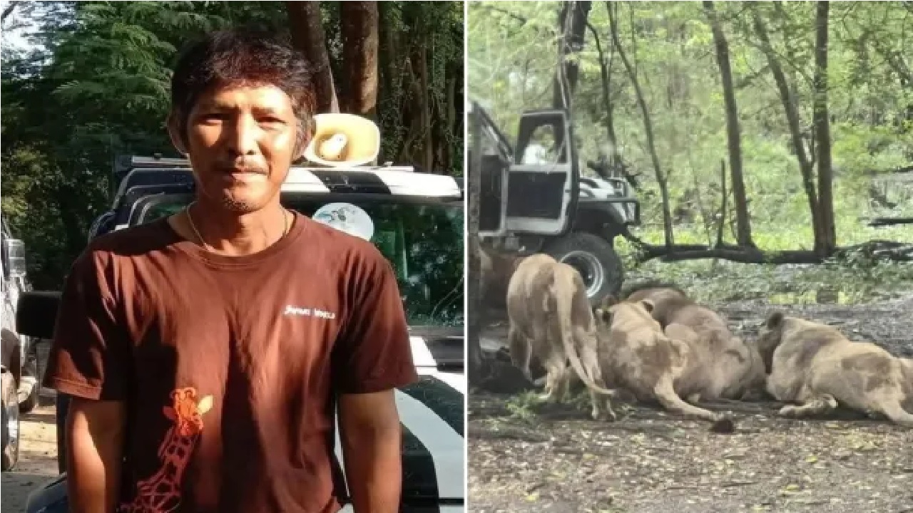 ಮೃಗಾಲಯ ಸಿಬ್ಬಂದಿಯನ್ನು ಕೊಂದ ಸಿಂಹಗಳು